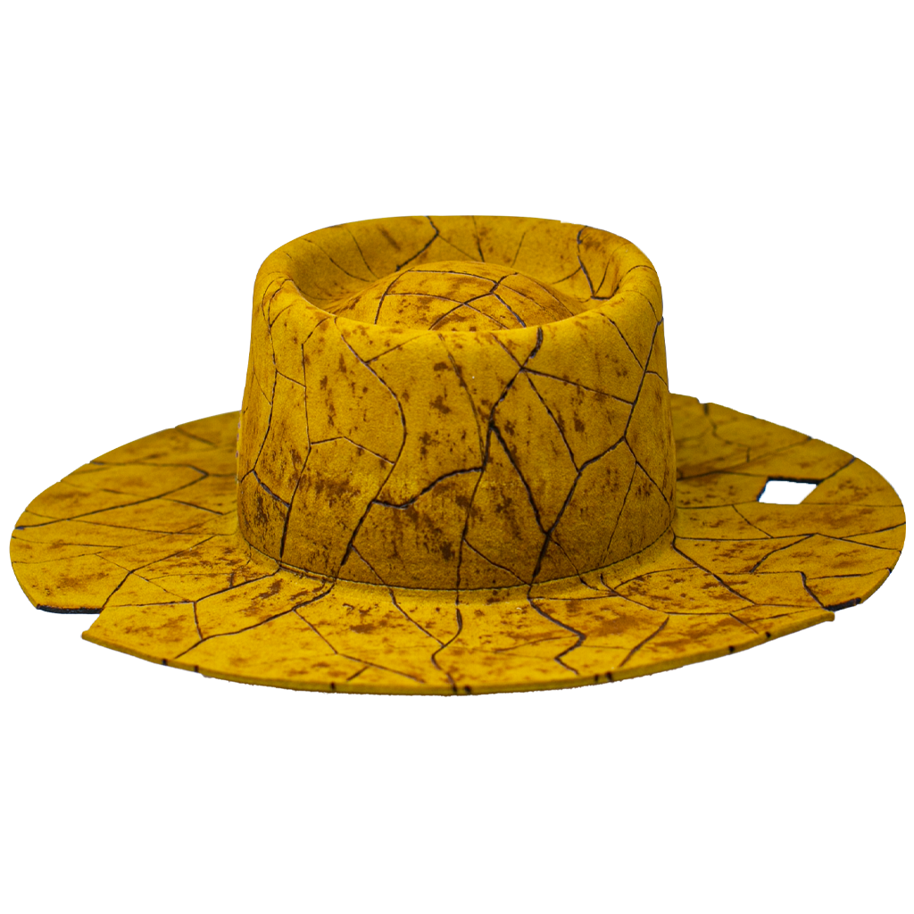 Climate Change Hat